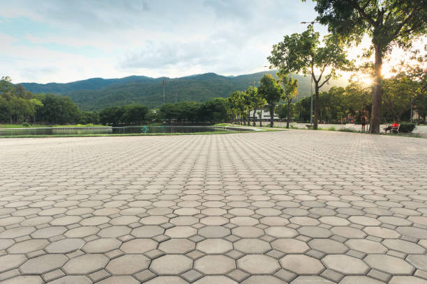 Best Driveway Pavers Near Me  in Questa, NM