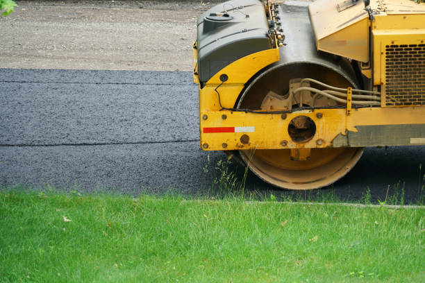 Best Driveway Paving Contractor  in Questa, NM